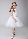 Princes Dresses Applique Party Gown Flower Girl Long Dress for Wedding
