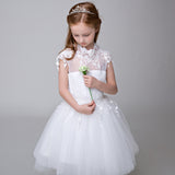 Princes Dresses Applique Party Gown Flower Girl Long Dress for Wedding