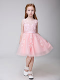 Flower Girl Applique Party Gown Long Dress for Wedding