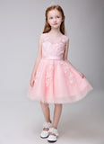 Flower Girl Applique Party Gown Long Dress for Wedding