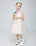 Flower Girl Party Gown Long Dress for Wedding Short Applique Dresses
