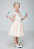 Short Applique Flower Girl Party Gown Long Dress for Wedding