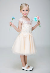 Short Applique Flower Girl Party Gown Long Dress for Wedding