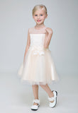 Flower Girl Party Gown Long Dress for Wedding Short Applique Dresses