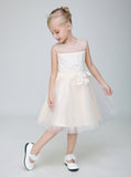 Flower Girl Party Gown Long Dress for Wedding Short Applique Dresses
