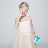 Flower Girl Party Gown Long Dress for Wedding Short Applique Dresses