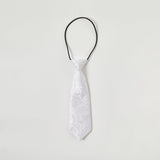 School Ties for Boys/Kids, Pre-tied Adjustable Neckties Boys Tie for Graduation Uniforms Party Casual