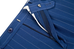 Royal Blue Stripe Men's Pants for Party, Wedding and Business